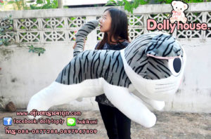 doll kitty